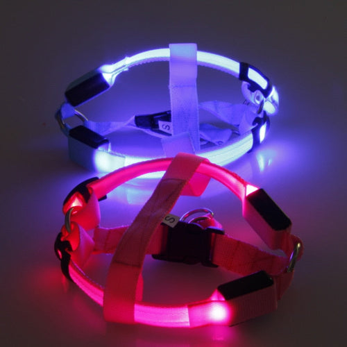 Hundesele med LED - Glow&Go Luvikno