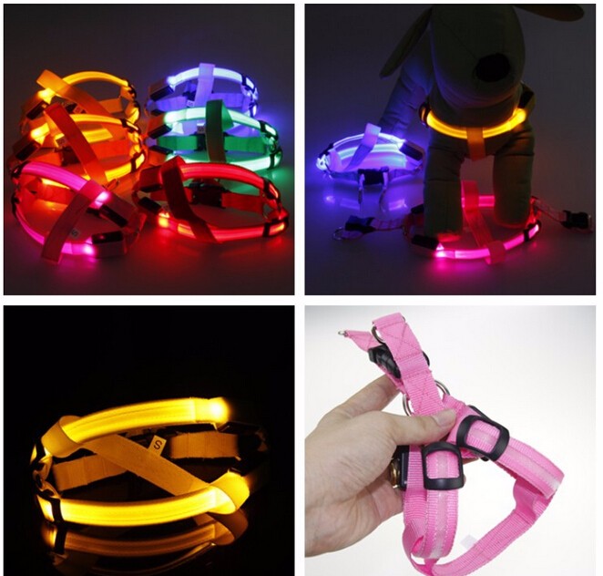 Hundesele med LED - Glow&Go Luvikno