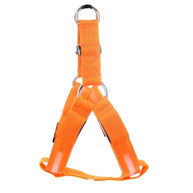 Hundesele med LED - Glow&Go Luvikno