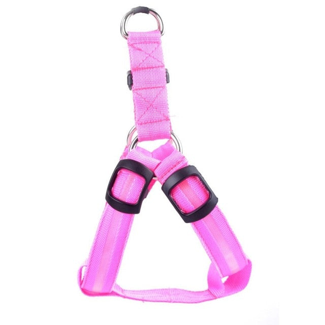 Hundesele med LED - Glow&Go Luvikno