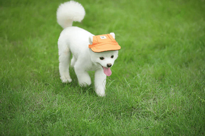 PawShade Pet Cap – Rund Skjermstil Luvikno