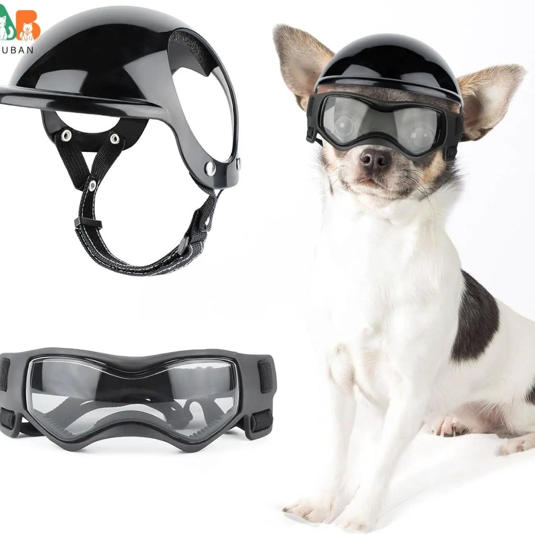 Hundehjelm og Goggles - RiderPaw Luvikno