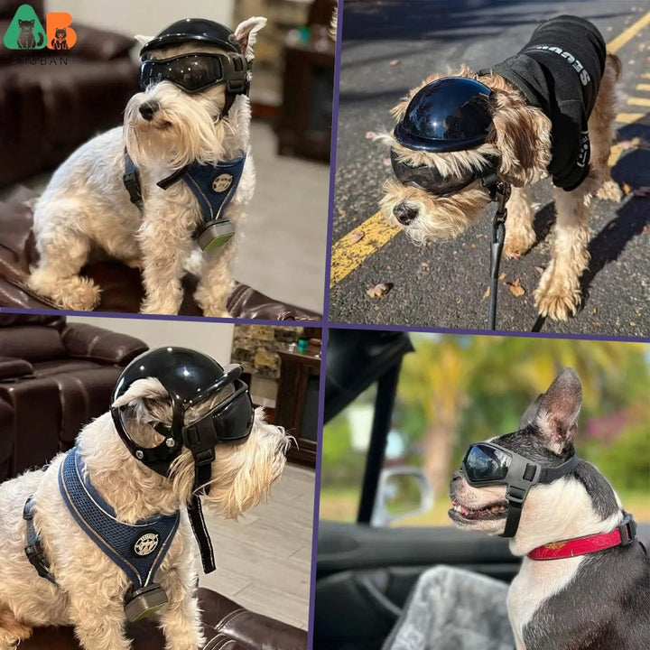 Hundehjelm og Goggles - RiderPaw Luvikno