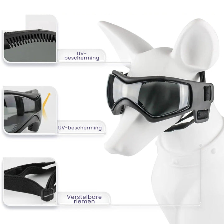 Hundehjelm og Goggles - RiderPaw Luvikno