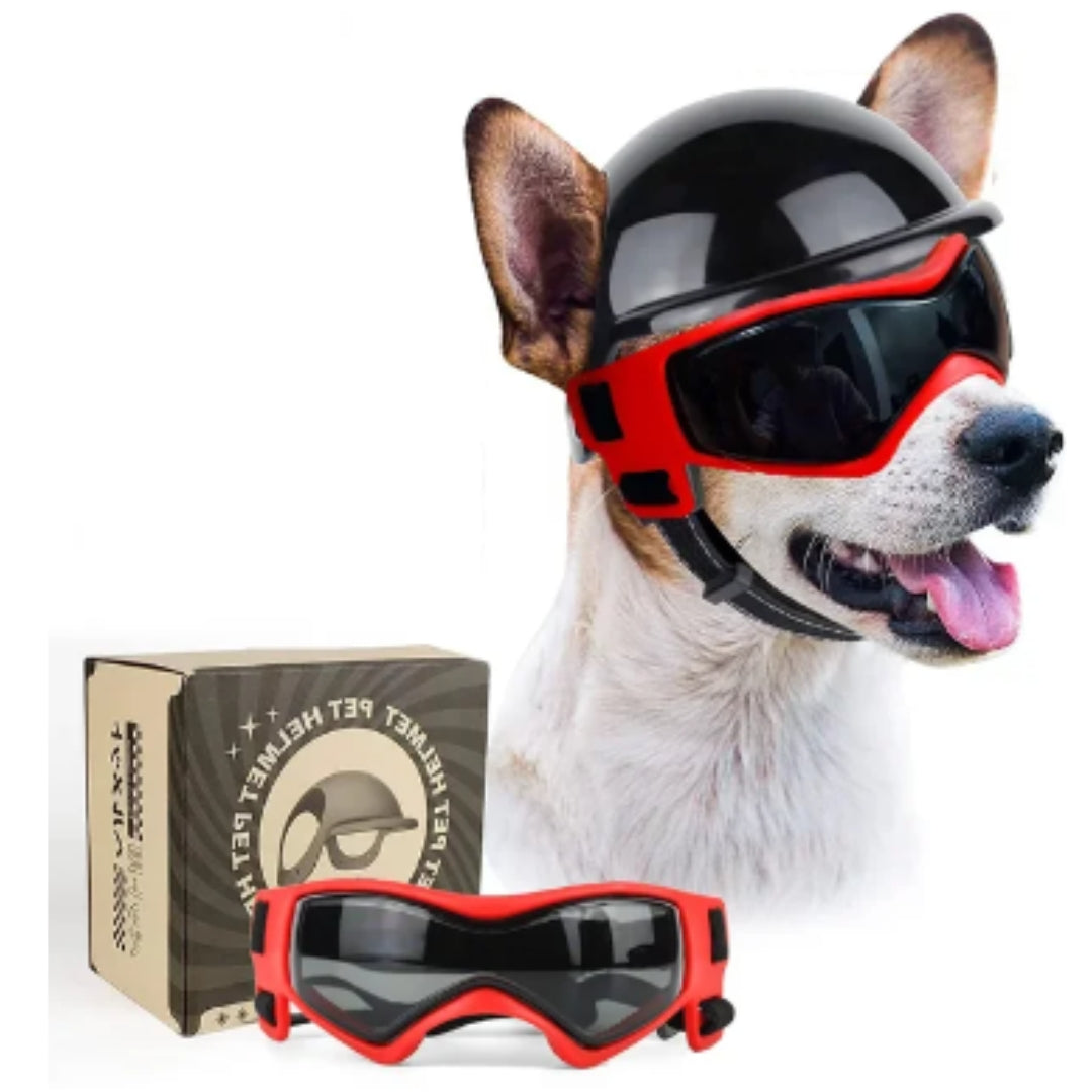 Hundehjelm og Goggles - RiderPaw Luvikno