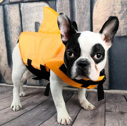 Hund Redningsvest - AquaPup Luvikno
