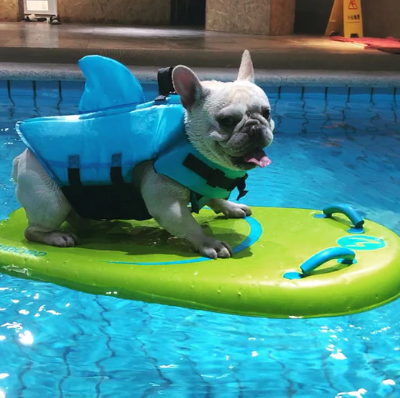 Hund Redningsvest - AquaPup Luvikno