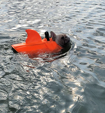 Hund Redningsvest - AquaPup Luvikno
