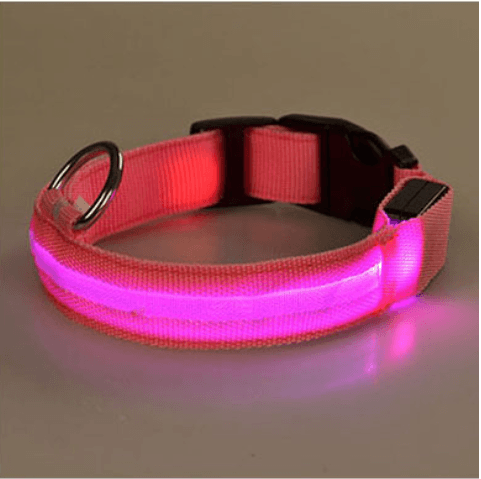 Hundehalsbånd med LED-lys | Luvikno