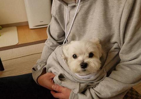 The Doggie Kangaroo Hoodie | Luvikno