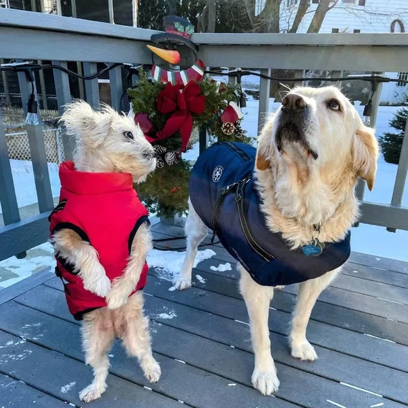 Luvikno | Vanntett hundejakke for vinter med reflekterende innebygd sele