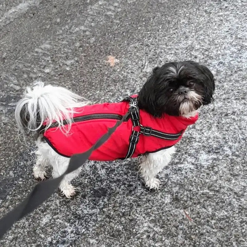 Luvikno | Vanntett hundejakke for vinter med reflekterende innebygd sele