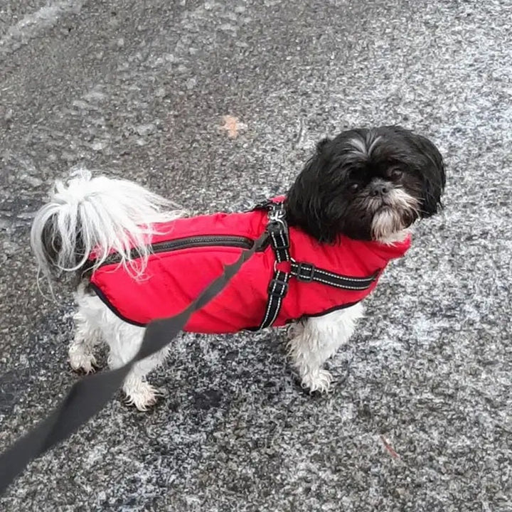 Luvikno | Vanntett hundejakke for vinter med reflekterende innebygd sele