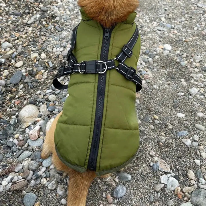 Luvikno | Vanntett hundejakke for vinter med reflekterende innebygd sele