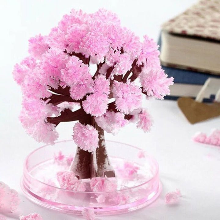 Luvikno | Få hagen din til å blomstre - Dyrk ditt sakura-tre!