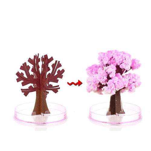 Luvikno | Få hagen din til å blomstre - Dyrk ditt sakura-tre!
