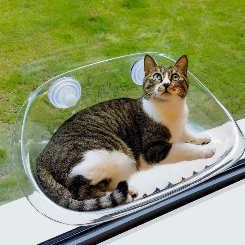 Kat-Sikker-Hengekøye | Den ultimate komforten for katten din | Luvikno