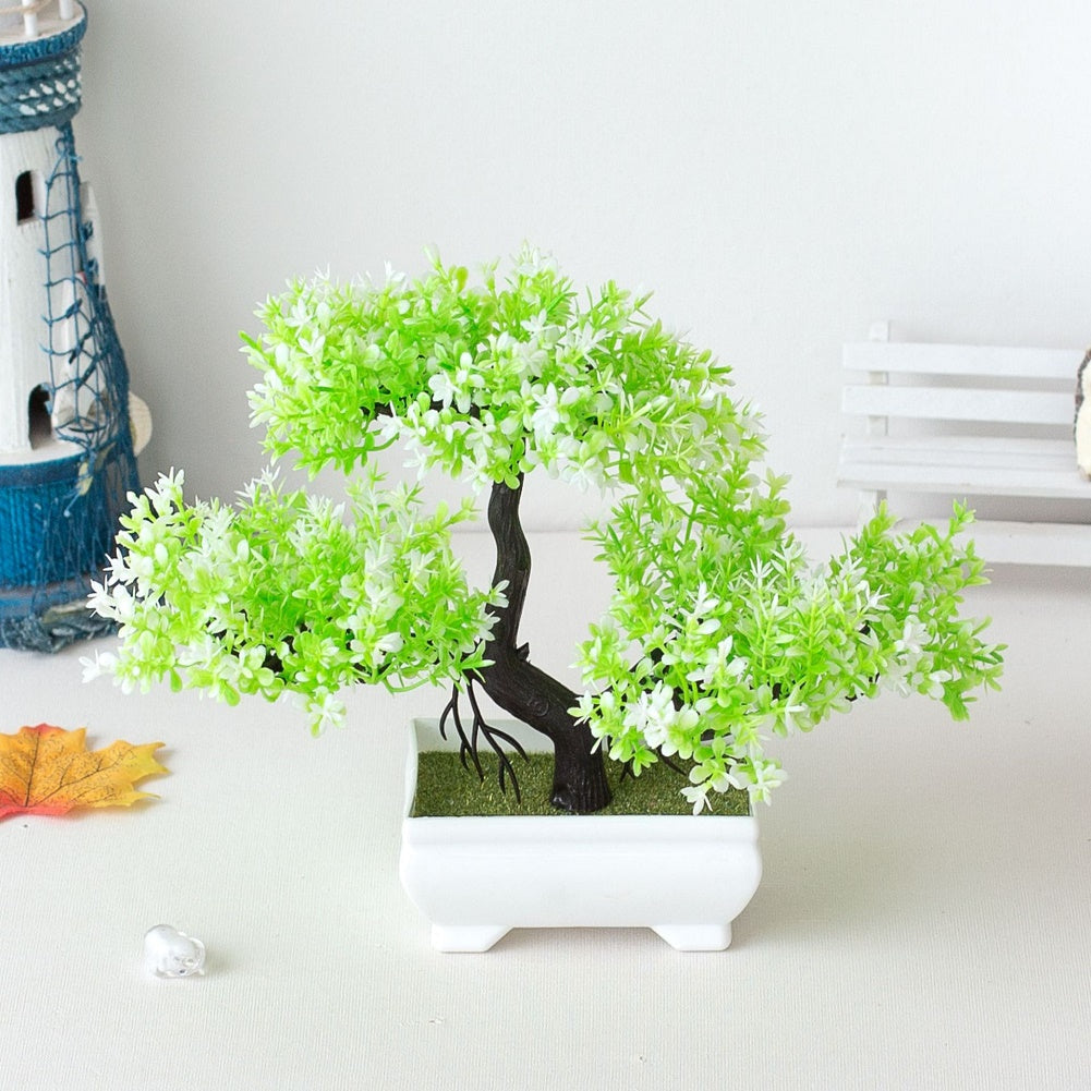 Luvikno | Plante Bonsai