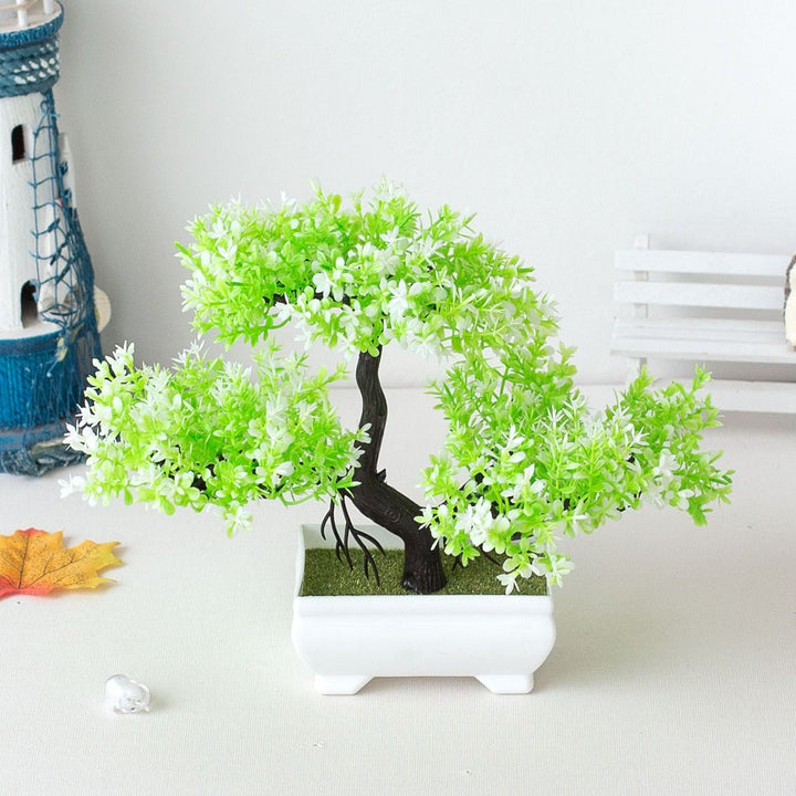 Luvikno | Plante Bonsai