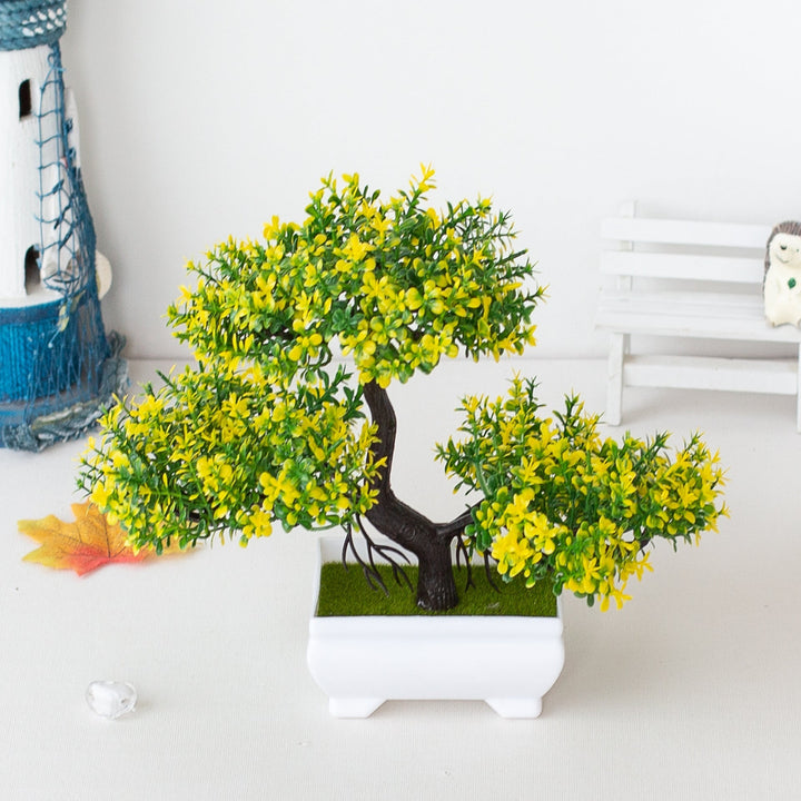 Luvikno | Plante Bonsai