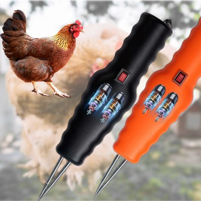 Electric Chicken Eater | Luvikno