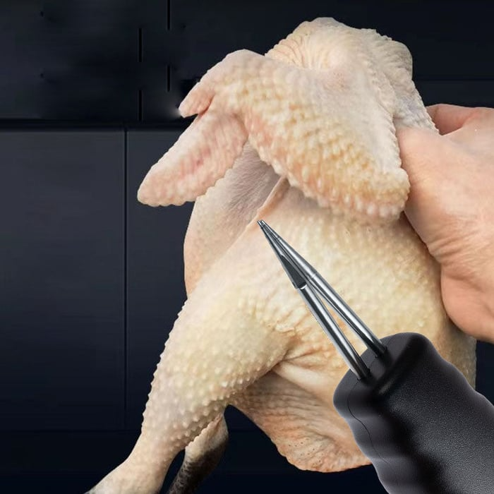 Electric Chicken Eater | Luvikno
