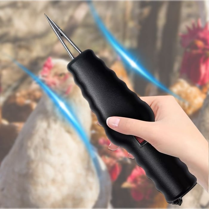 Electric Chicken Eater | Luvikno
