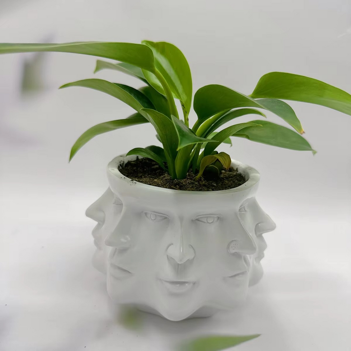 Moderne Ansiktsdesign Pot Luvikno