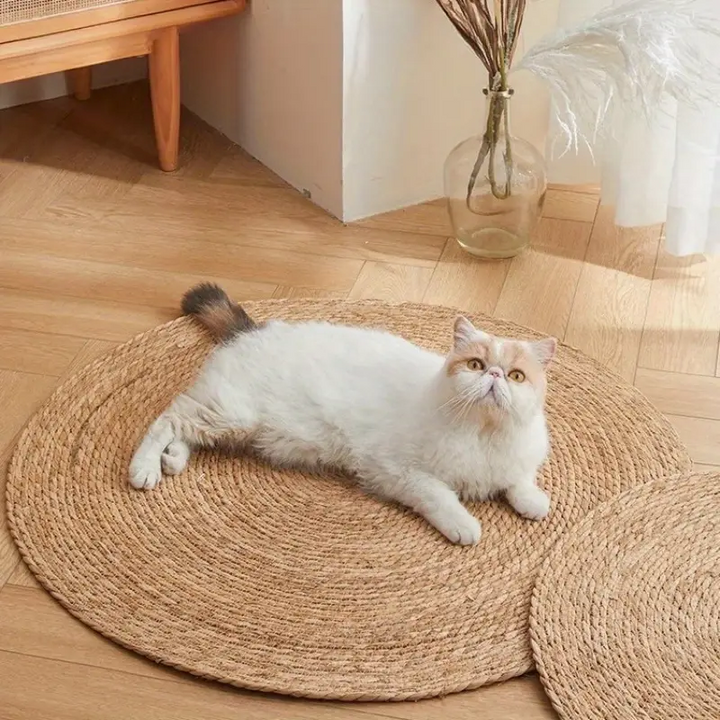 Luvikno | KrazeLuxe Matt — Endelig fred fra kløe-kaos og den favorittplassen for katten din