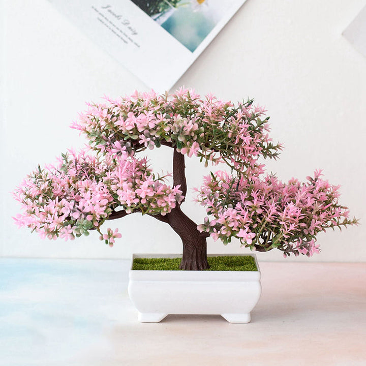 Luvikno | Plante Bonsai