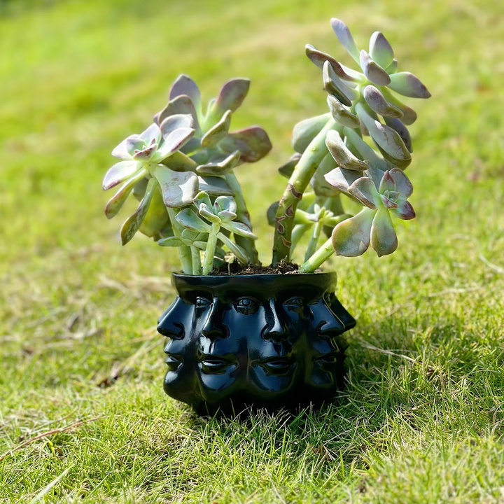 Moderne Ansiktsdesign Pot Luvikno
