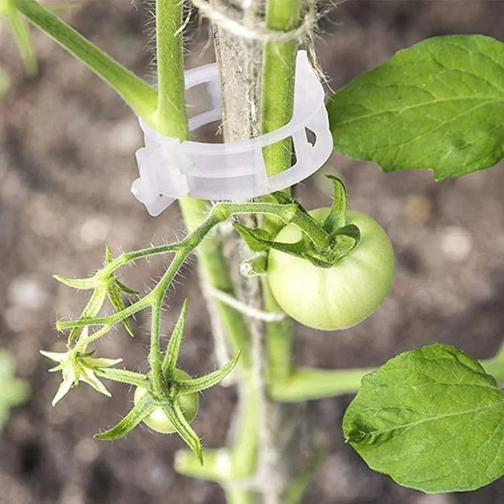 VitaGrip Clips — Sterk hold for majestetiske planter som vokser og trives stolt | Luvikno