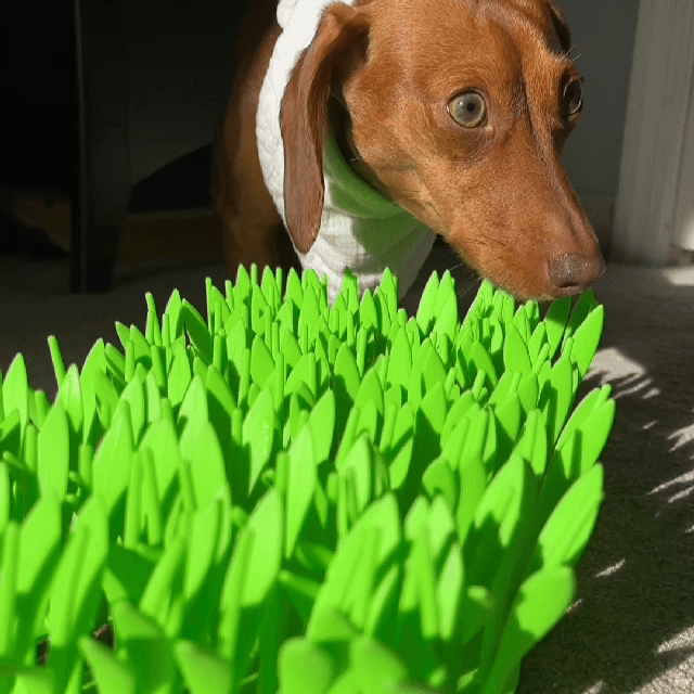 Luvikno | FeedMaster Slow Feeder — Beroliger fôringsfrenet og gir kjæledyret ditt avslappet nytelse