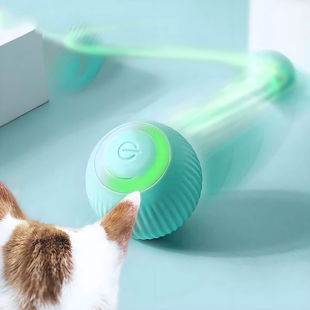 Luvikno Purr Interaktiv Kjæledyrball