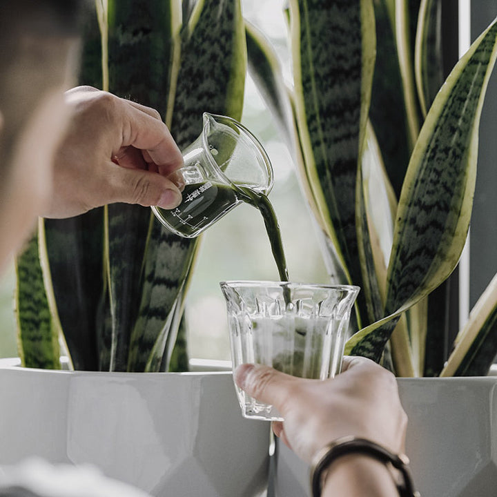 Espresso Glass Measuring Cup Unse Mål Dobbel Tuter Kaffe Kopp | Luvikno