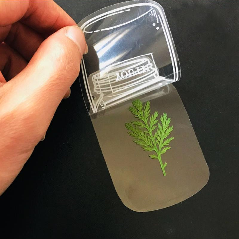 Luvikno | Transparent tørket blomster bokmerke