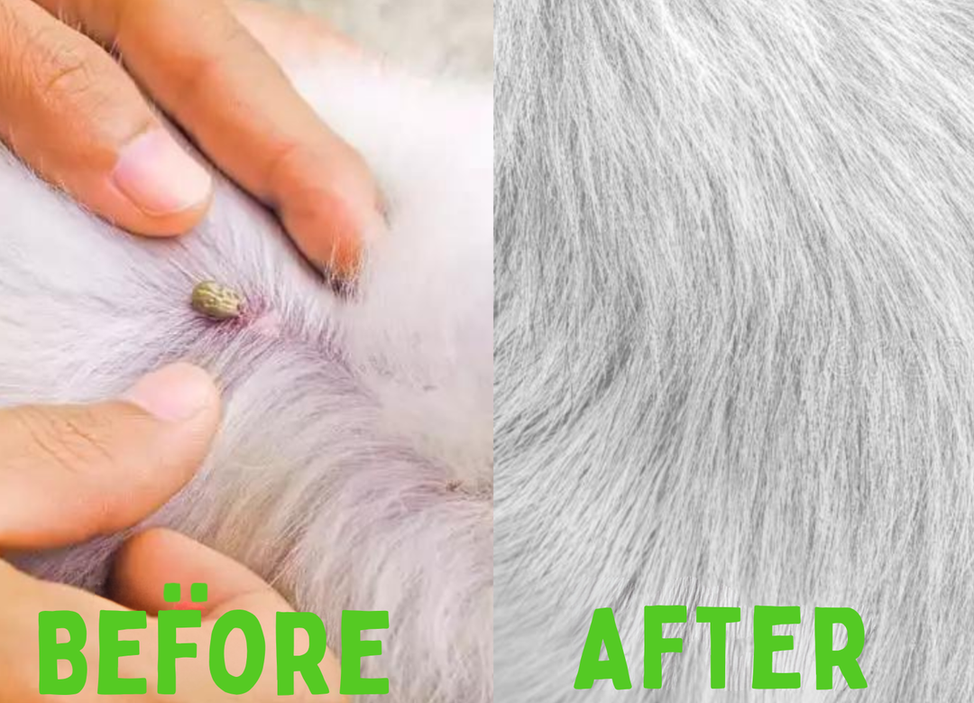 Flea og Tick Collar - FleaGuard Luvikno