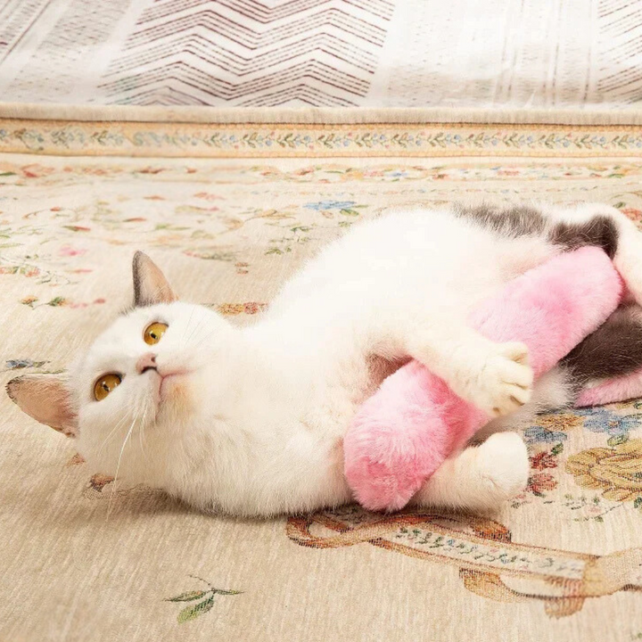 Catnip Pute Leke Luvikno