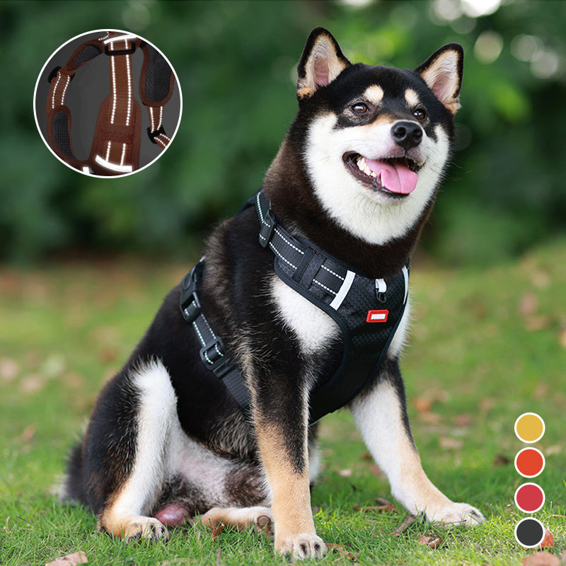 Reflekterende Hundesele | Luvikno