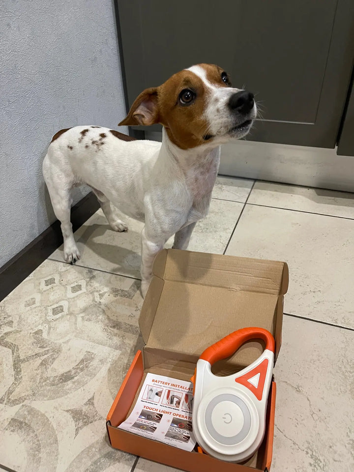 GlowGuard Lyskabel Hundesele med Lommelykt Luvikno