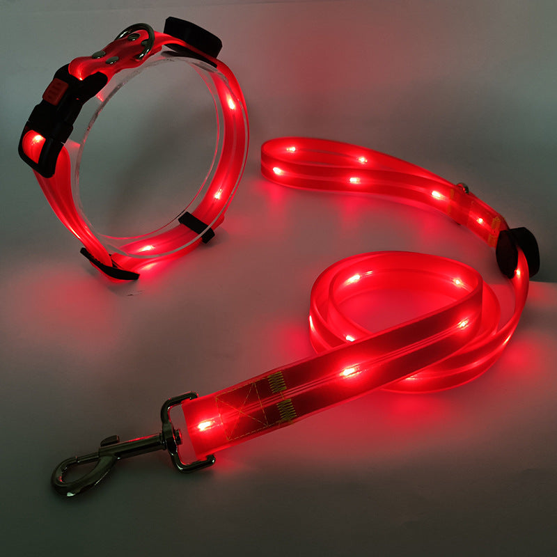Glitrende LED hundehalsbånd med bånd - NightBright Luvikno