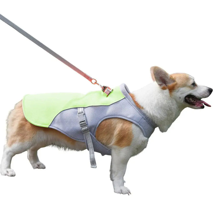 Hund Küling Vest for Utendørs Aktiviteter | Luvikno