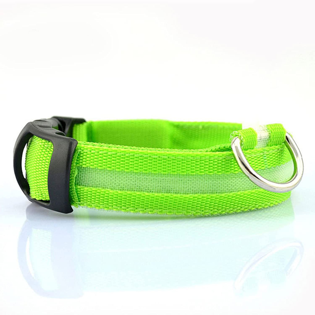 Luvikno | Luminous Animal Collar with LED Light – Rechargeable, Waterproof, Adjustable Fit for Enhanced Safety at Night