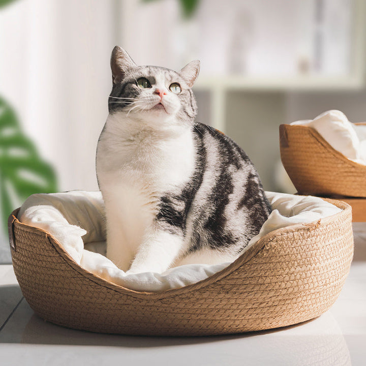 Håndlaget Komfortabel Katt Seng - LuxeSnooze Luvikno