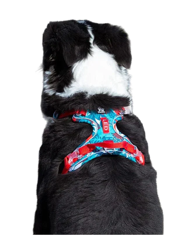 Komfortabel og holdbar hundesele – Vendo Luvikno