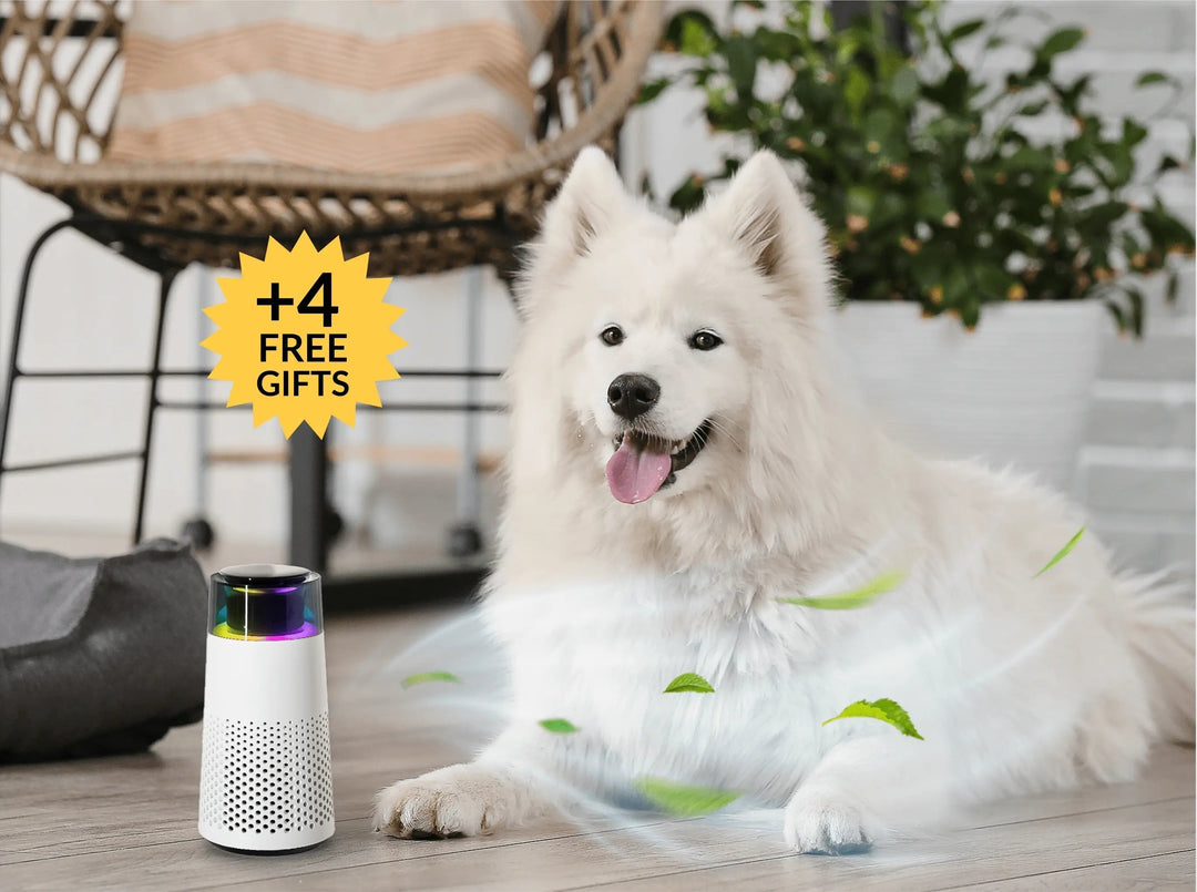 PetFresh - Aromatisk Duftsprayer for Kjæledyr Luvikno