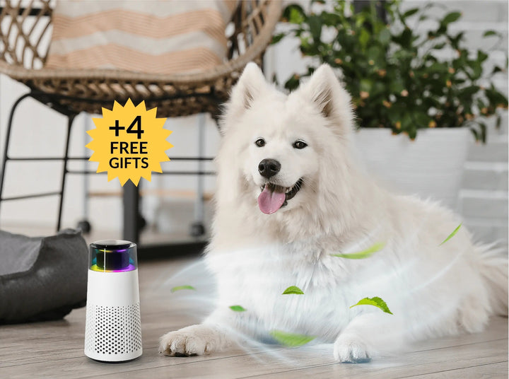PetFresh - Aromatisk Duftsprayer for Kjæledyr Luvikno