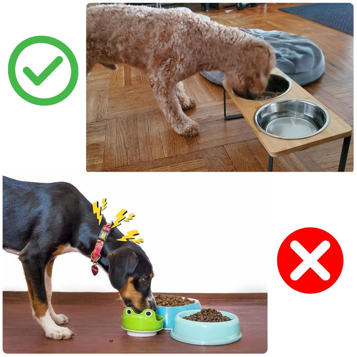 Hevet Dog Food Bowl – Bambusstativ med avtakbare rustfrie stålskåler | Luvikno