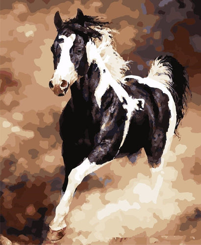 Galloping Horse - Van-Go Mal-Etter-Nummer Sett | Luvikno
