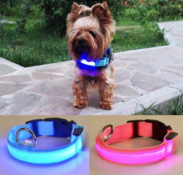Hundehalsbånd med LED-lys | Luvikno